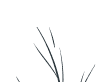 Circle highlight